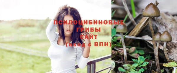 гидра Бугульма