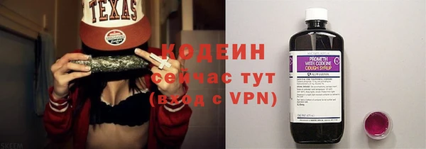 таблы Бородино