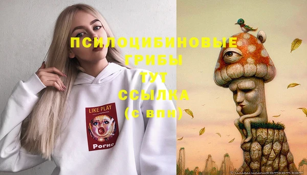 прущий лед Бронницы