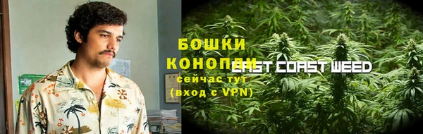 таблы Бородино
